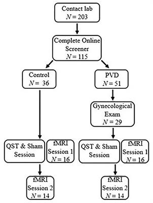 An Investigation of Descending Pain Modulation in Women With Provoked Vestibulodynia: Alterations of Brain Connectivity